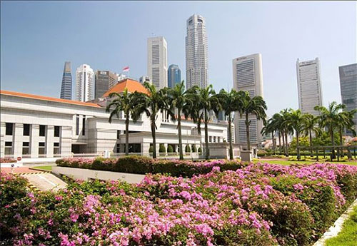 新加坡公司报税